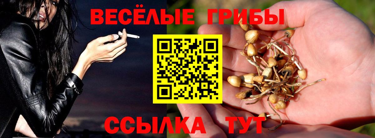 Каннабис  Марихуана  Алатырь  ГАШ  COCAIN  АМФЕТАМИН   Вход с VPN  МЕФ кристаллы 